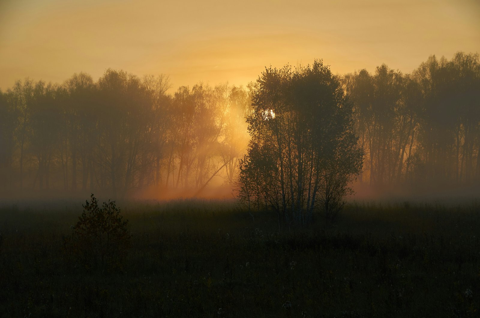 Vroege natuur
